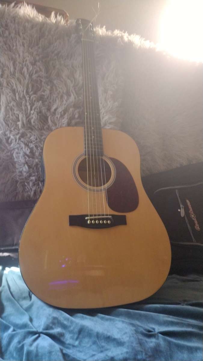 acoustic electric guitar