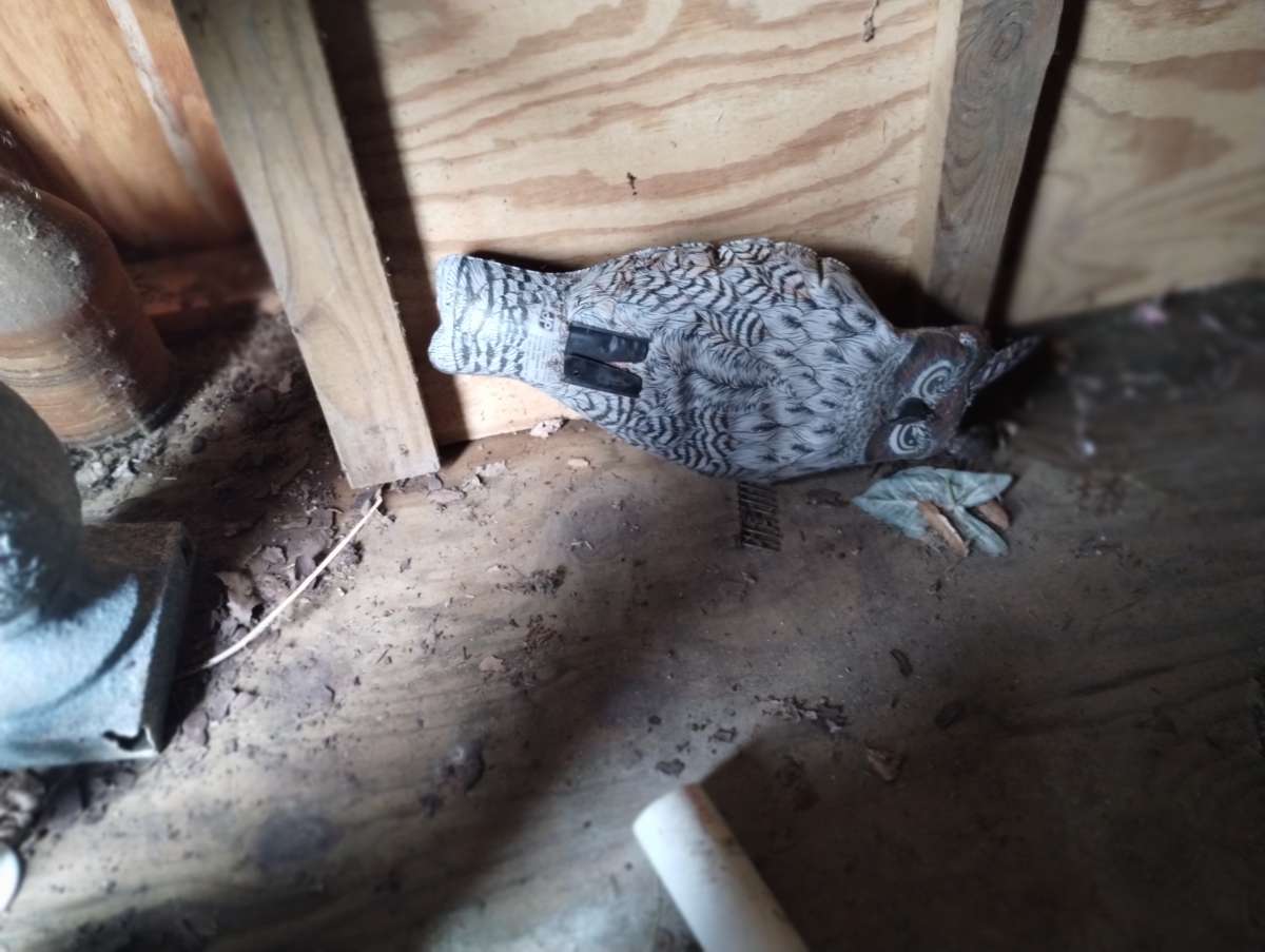 Decorative Inflatable Owl