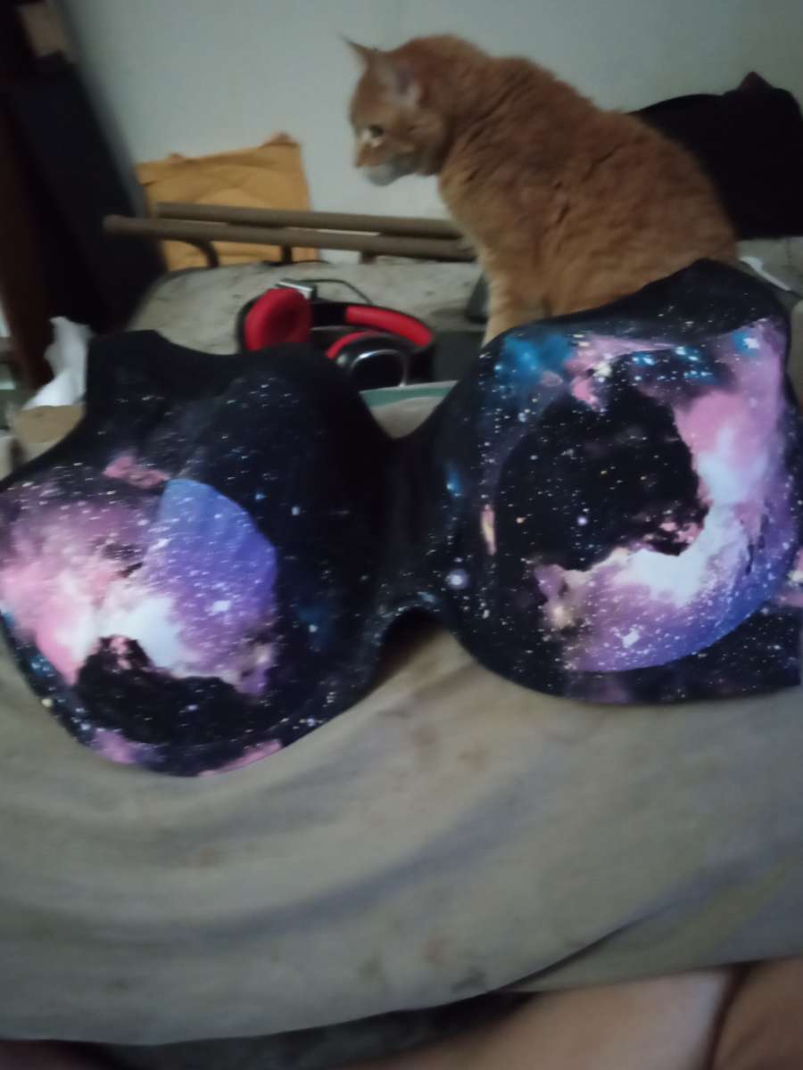 plus size women bras