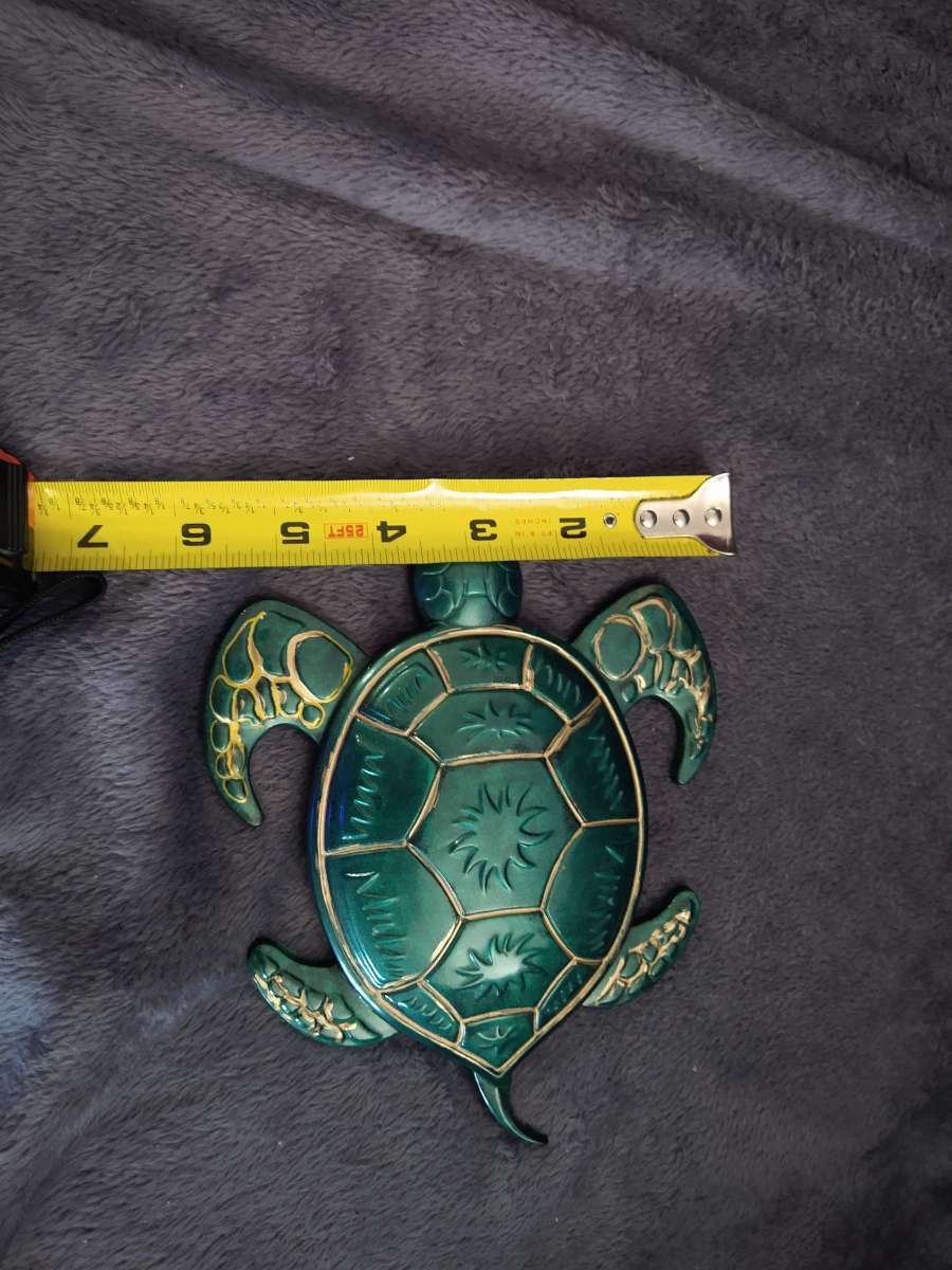 Mr turtle is looking for home
