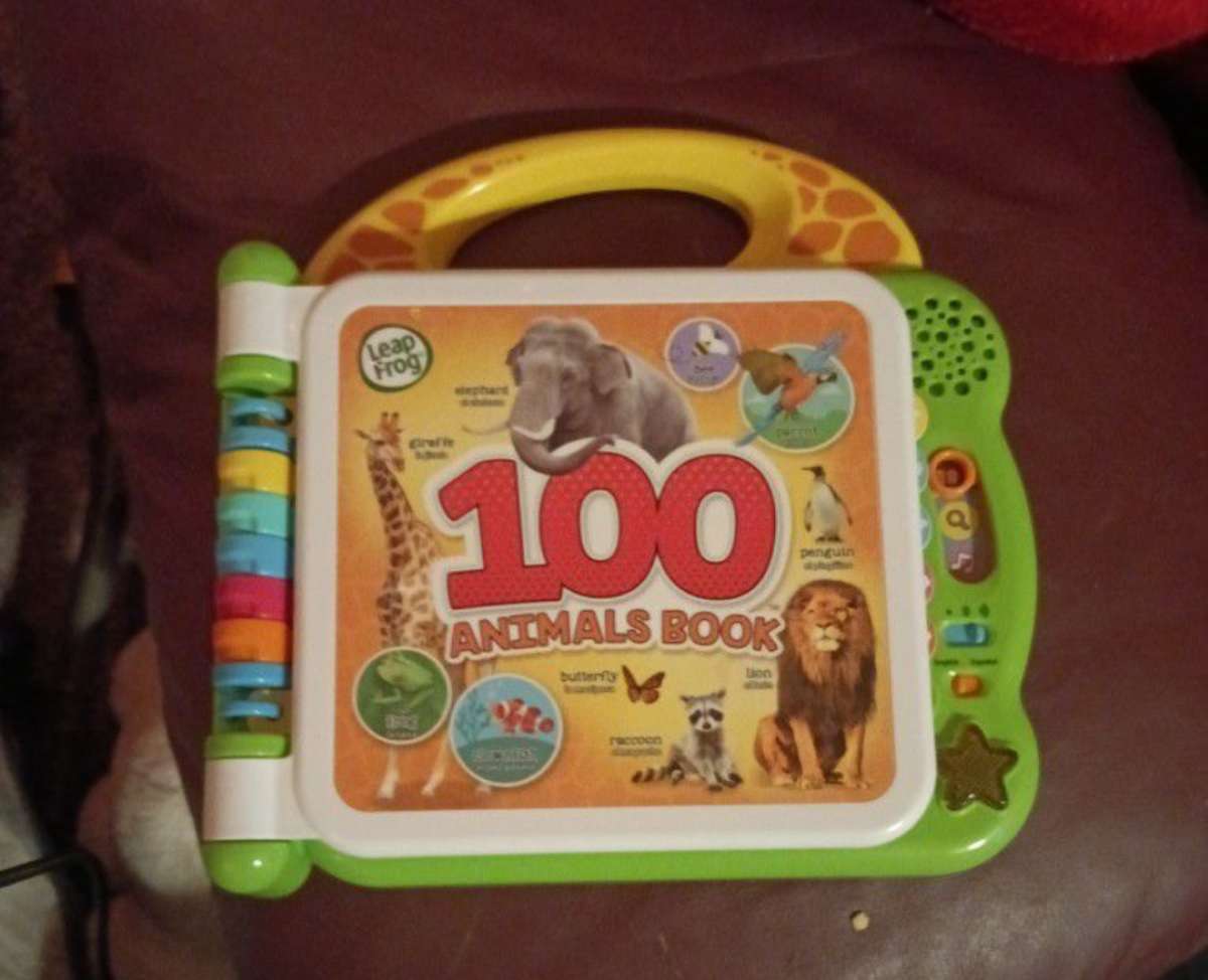 childs animal learning book