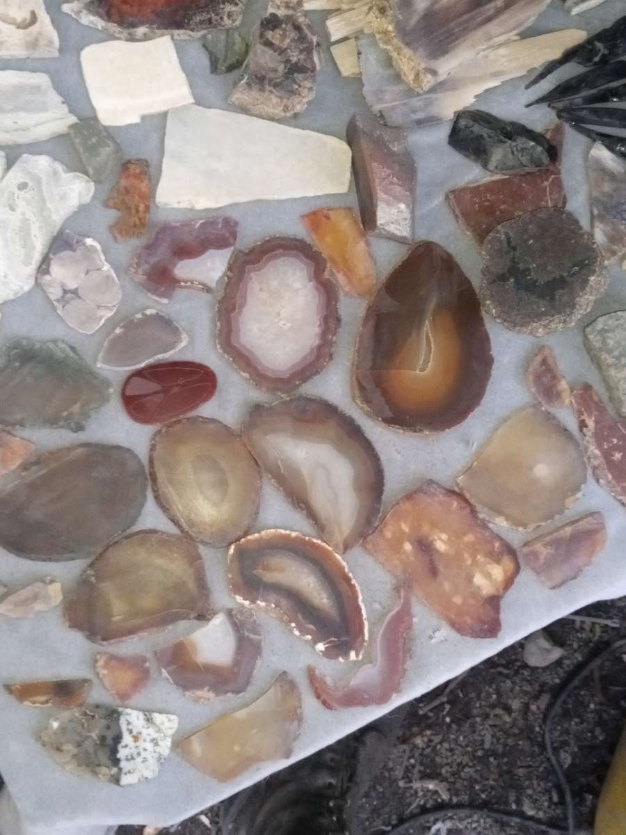 agatized petrified wood slabs