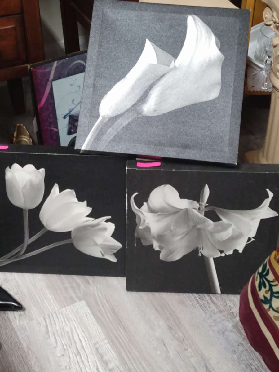 FLOWER WALL DECOR 3 PICTURES