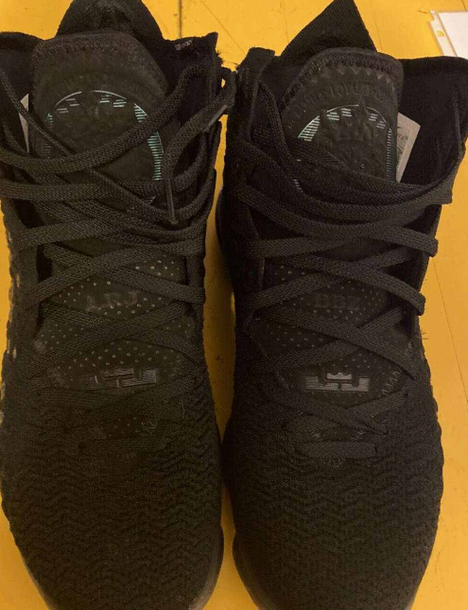 lebron 17