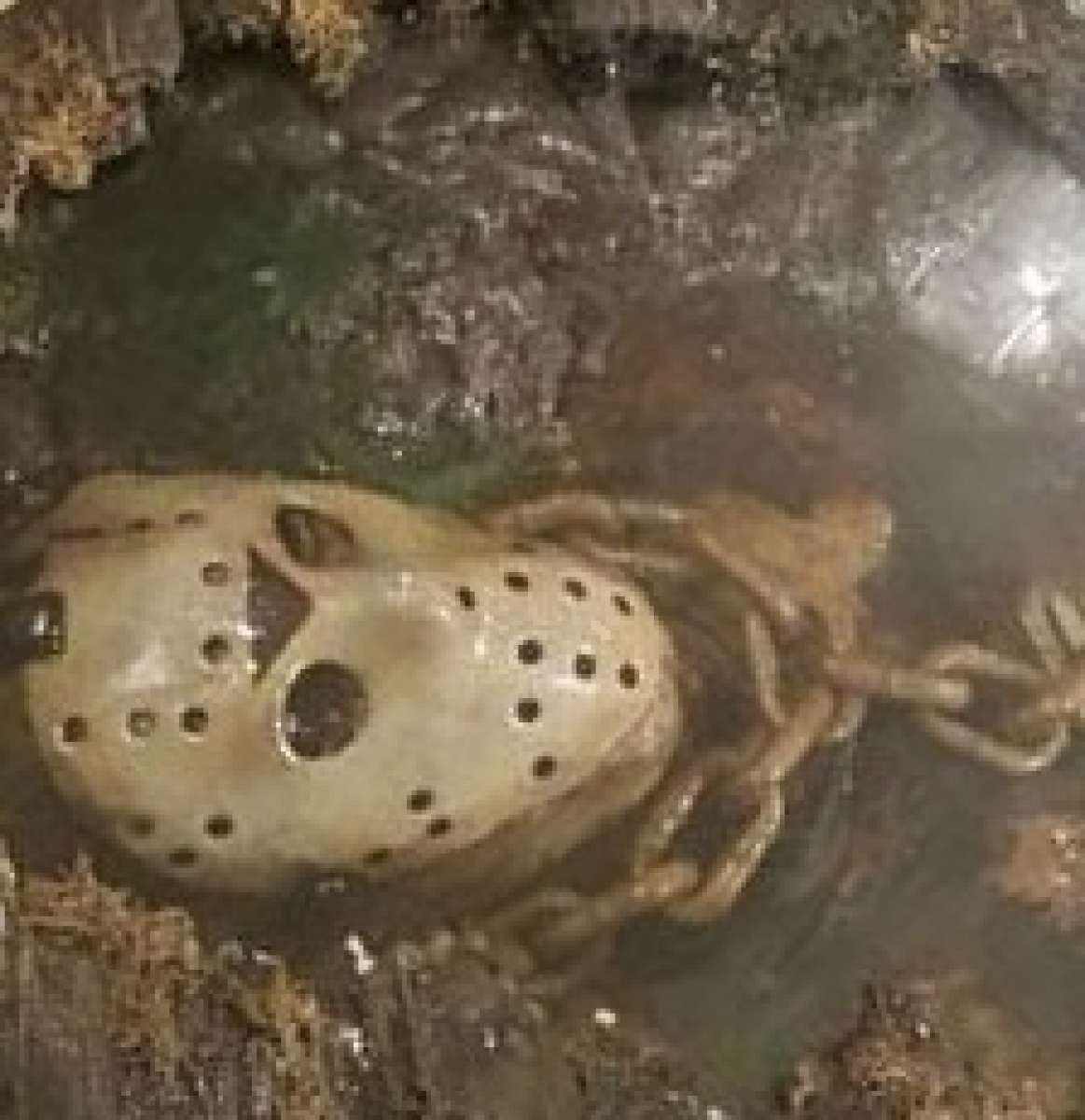 custom made Friday the 13th table