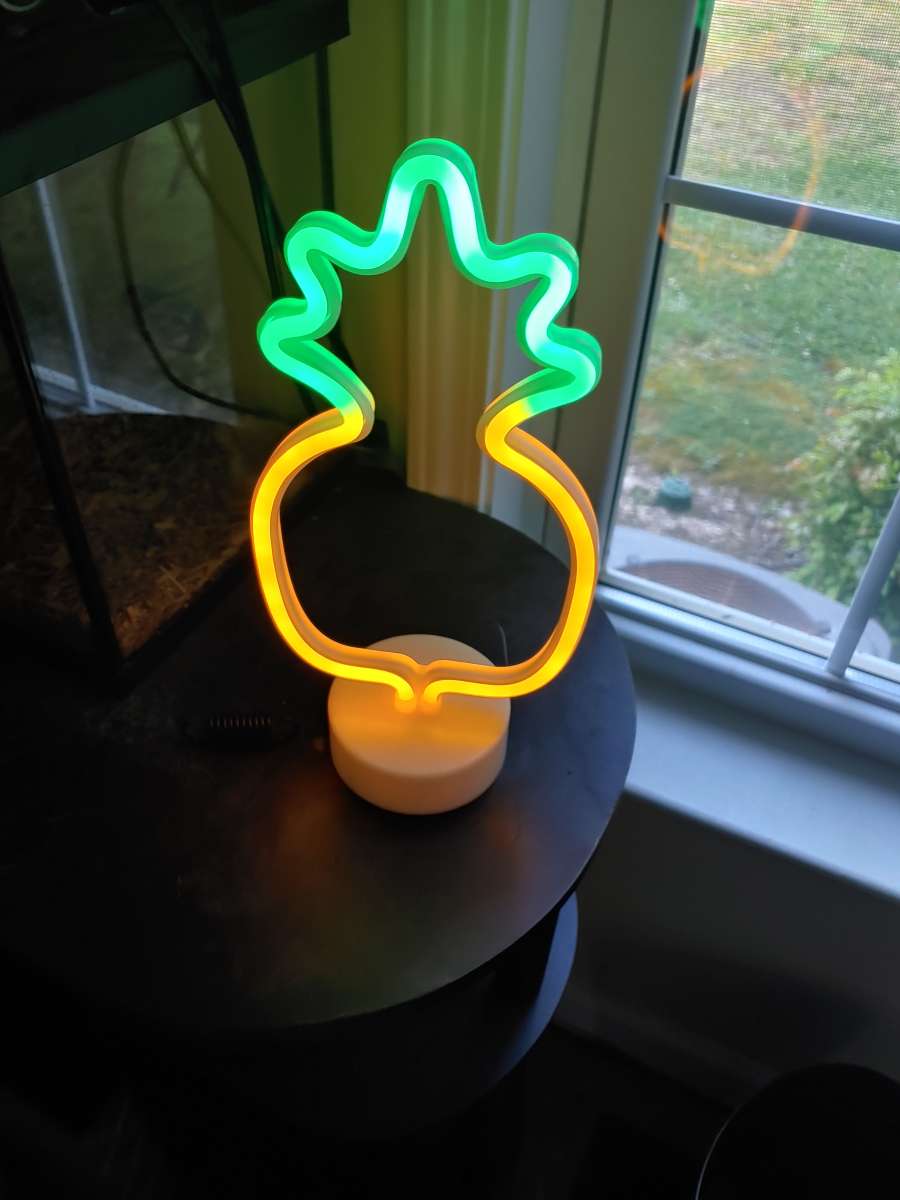 a used pineapple light