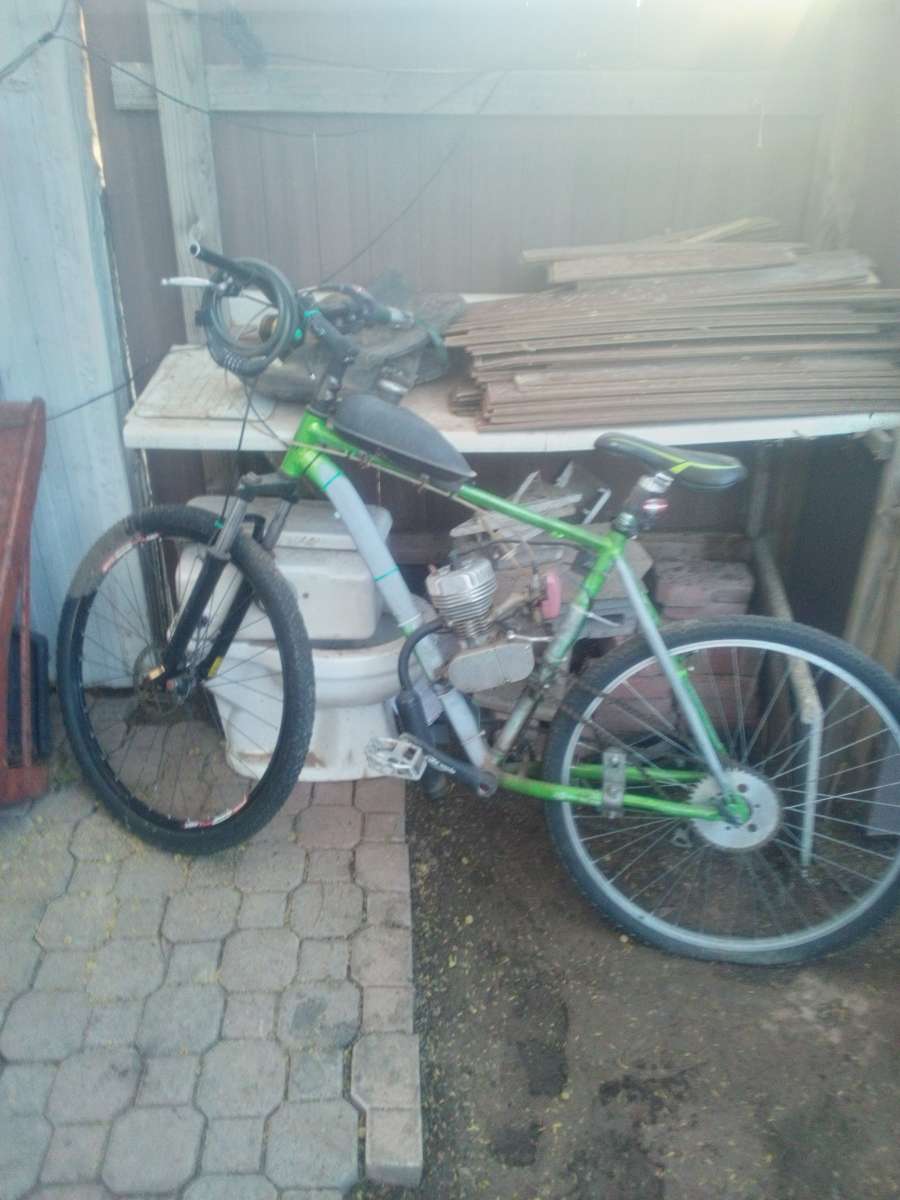 motorized bicycle