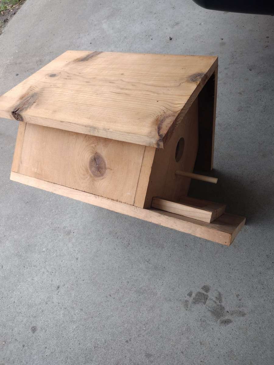 bird house
