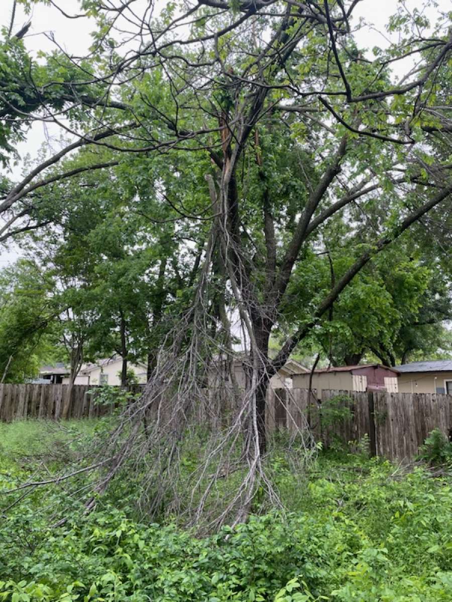 gardening and grass cutting
