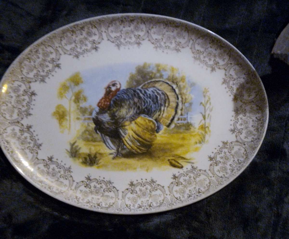 A Thanksgiving platter with a Turkey on it