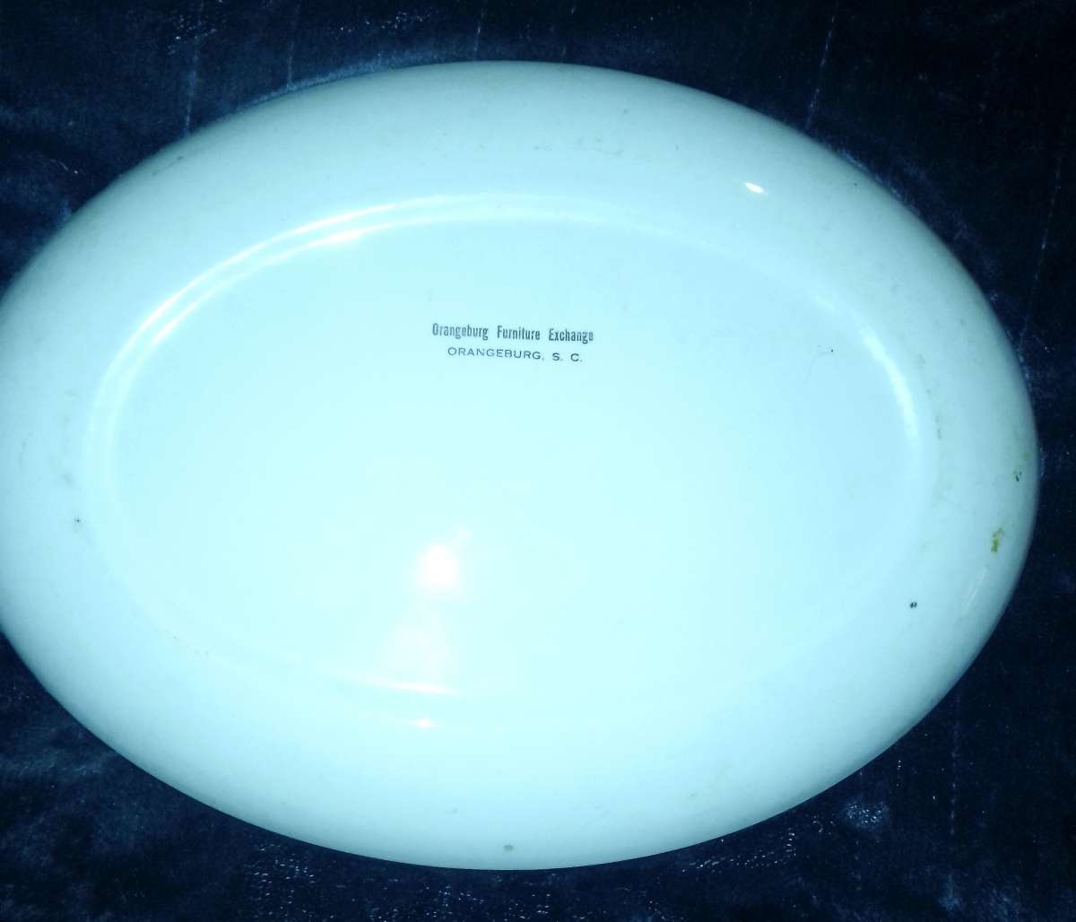 A Thanksgiving platter with a Turkey on it