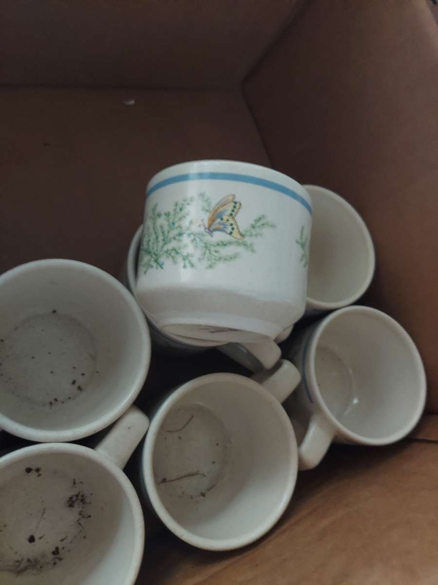 butterfly coffee cups