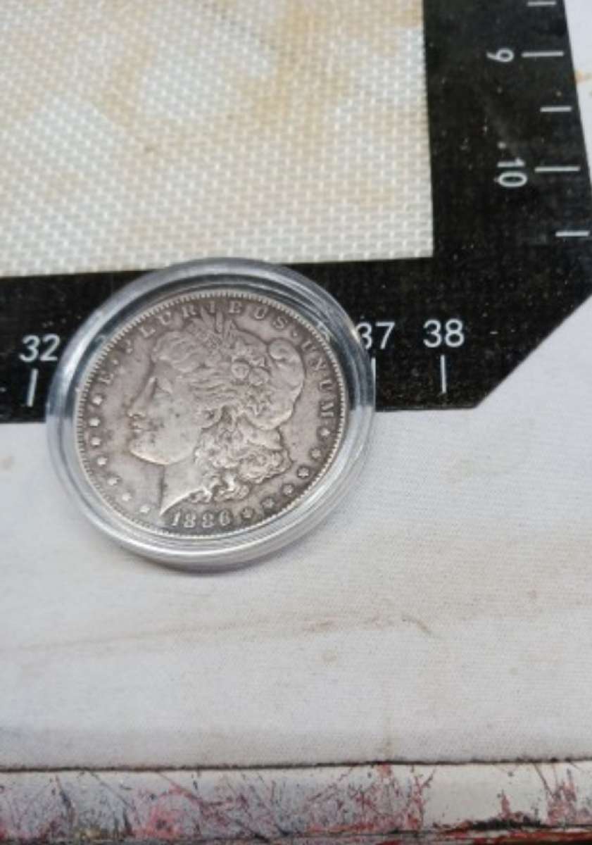 1886 Silver Morgan Dollar