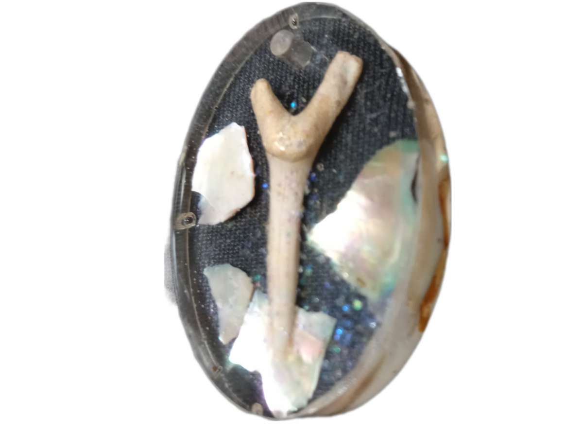 Chose One Key Chain or Pendant Fossilized SharksTooth