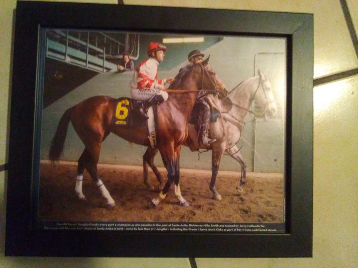 set of 6 2016 Santa Anita horse race photos