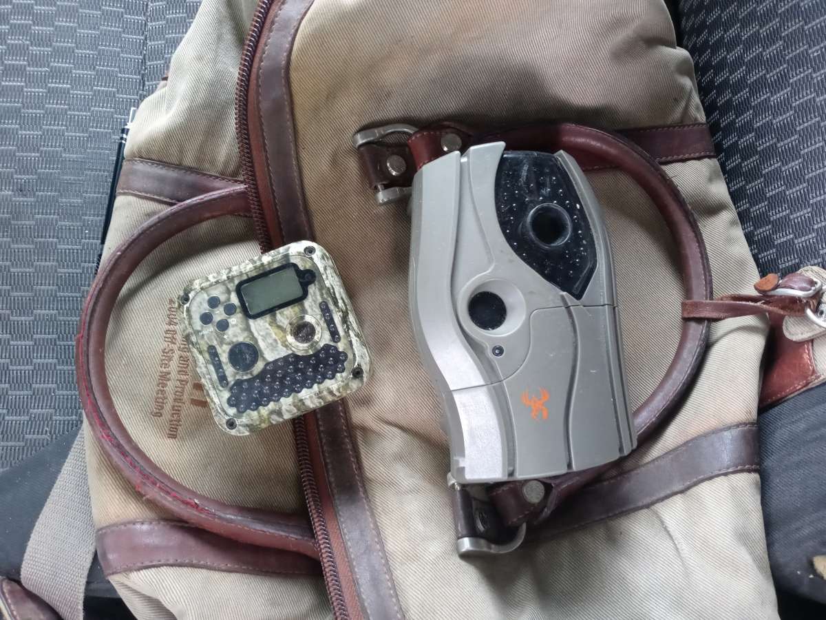 deer cameras game trail cameras