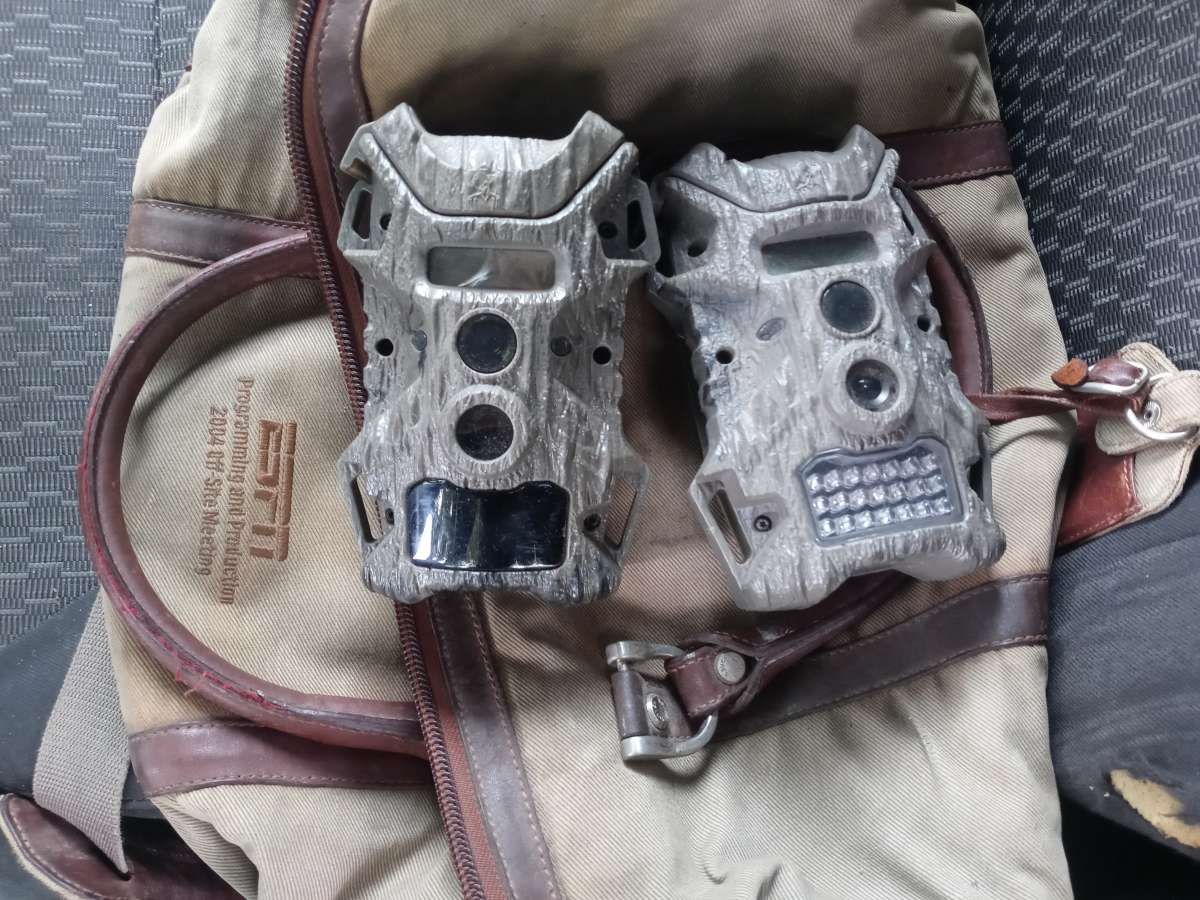 deer cameras game trail cameras