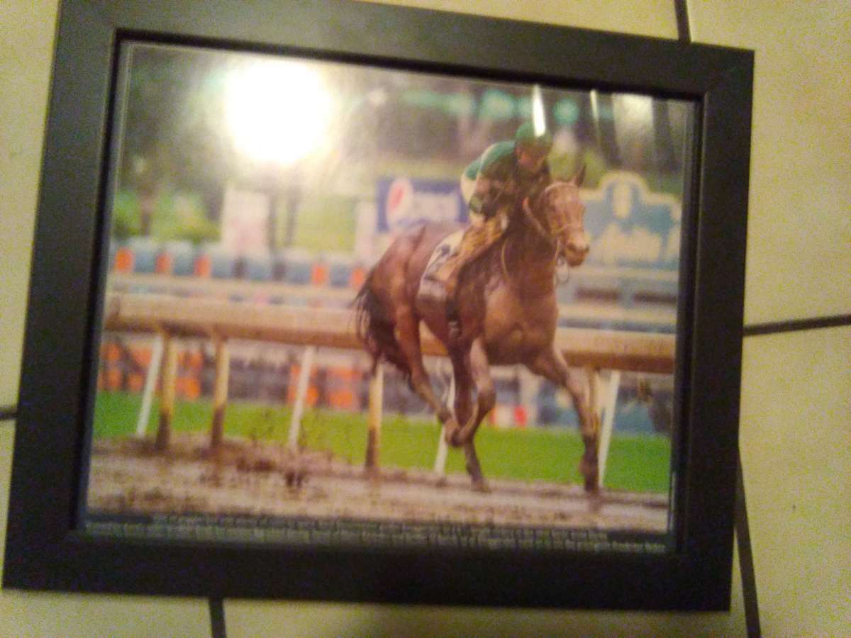 set of 6 2016 Santa Anita horse race photos