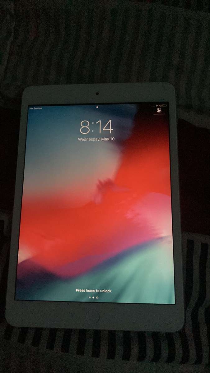 iPad mini 2