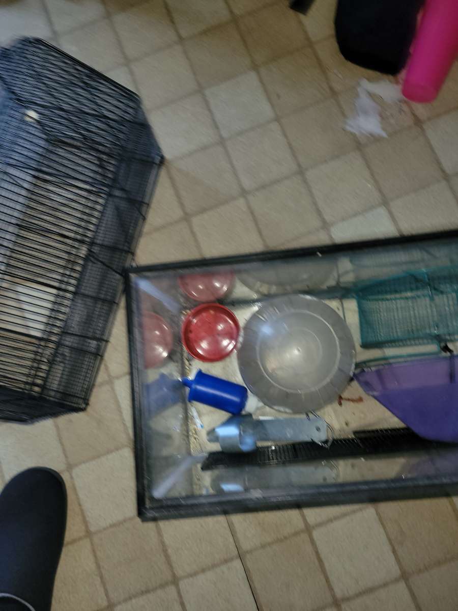 25 gallon tank and topper and other hamster items