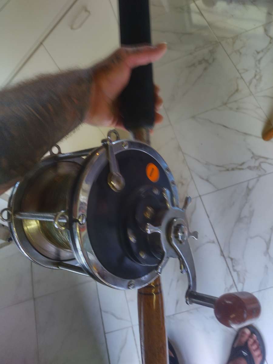 fishing rods and reels