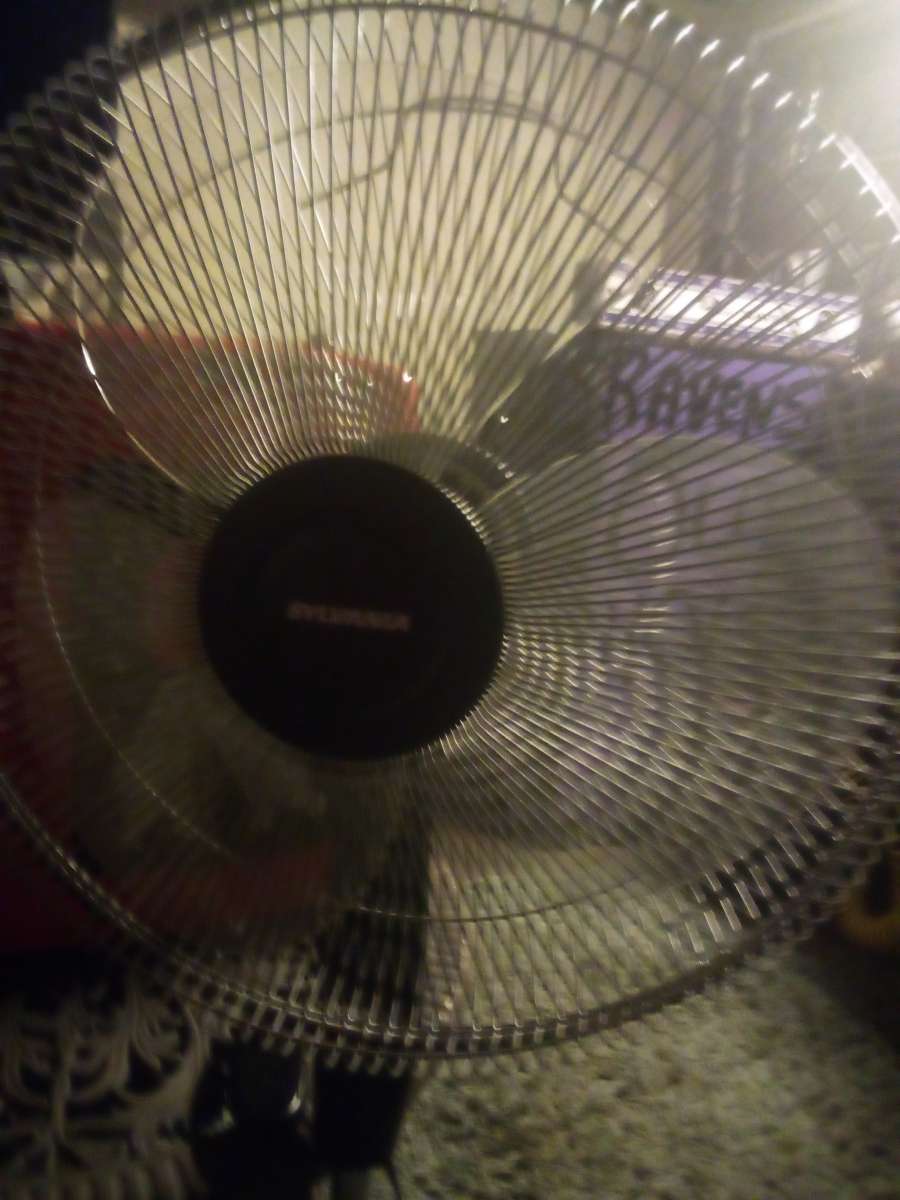 Sylvania Remote Control Stand Up Fan