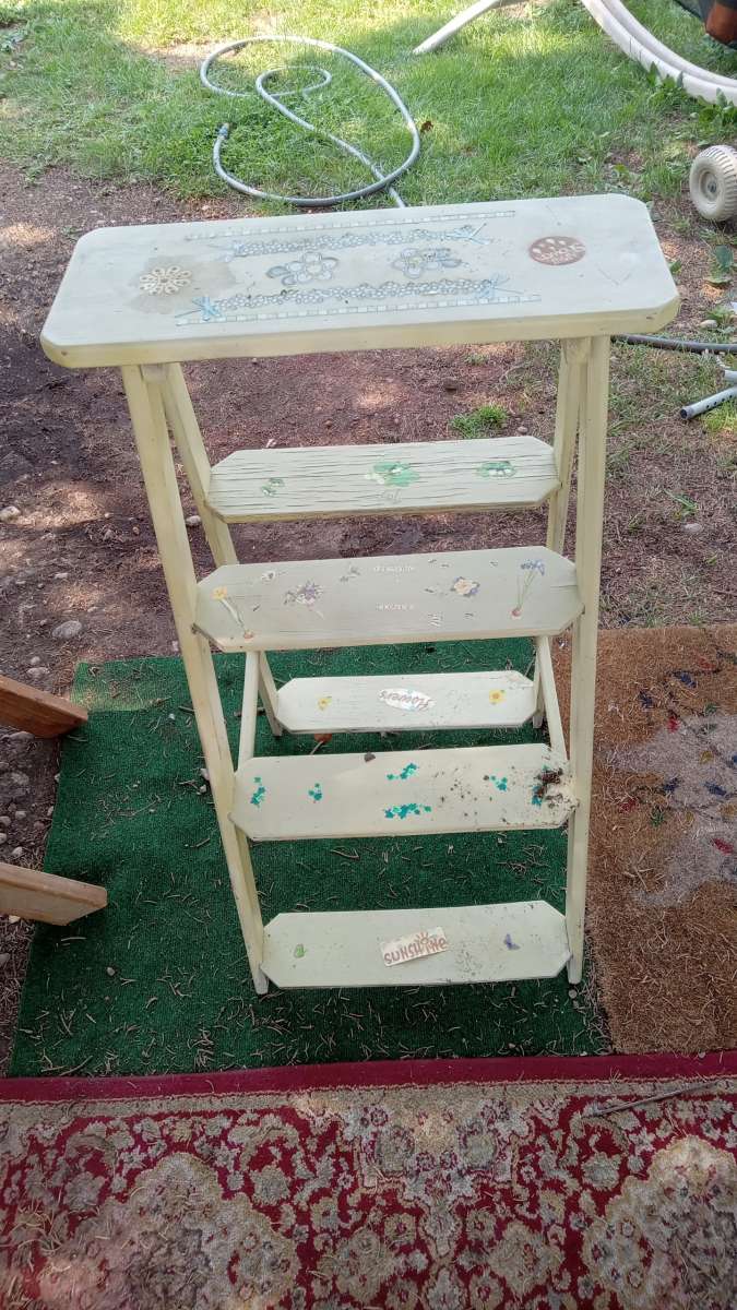 Hand Painted 6 Step Ladder