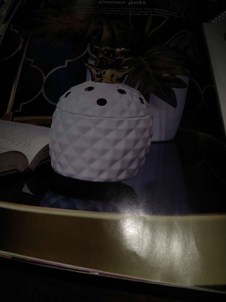 Sammi pot and wallhug