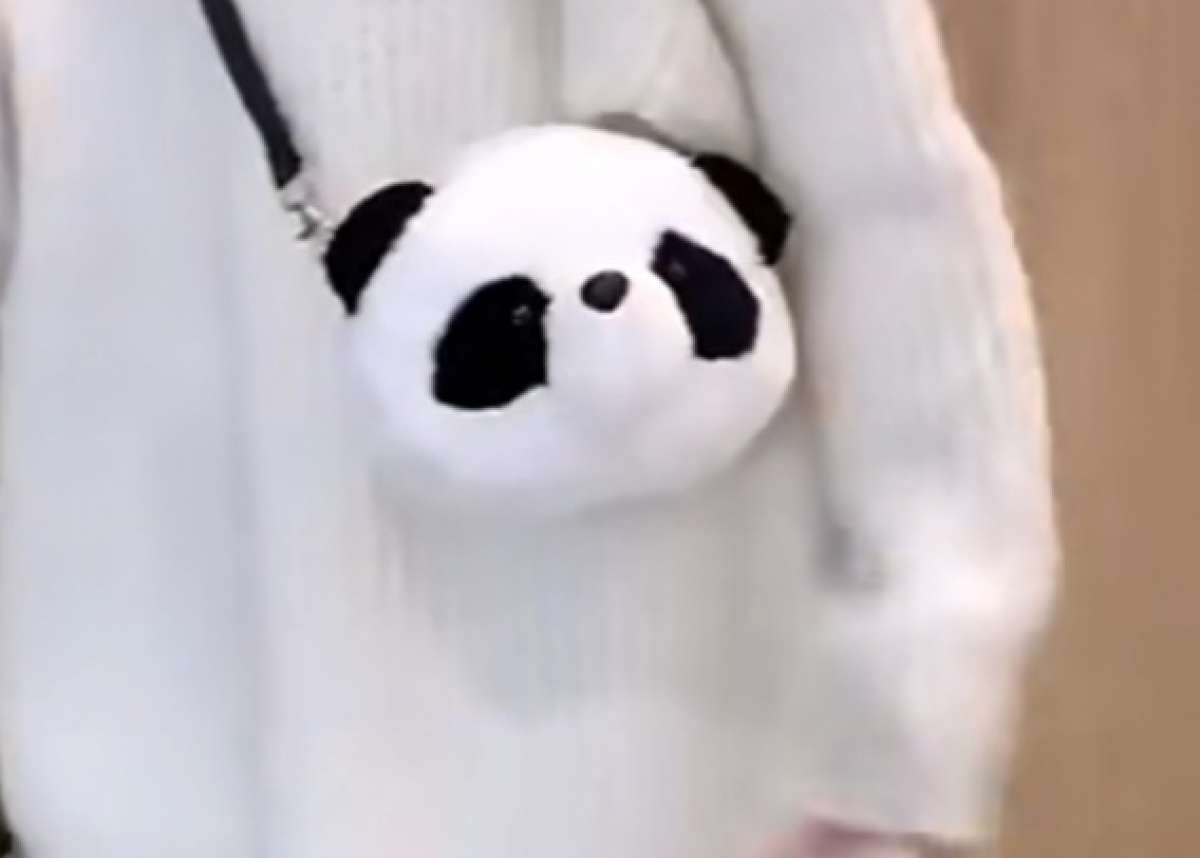 Brand New PANDA PURSE