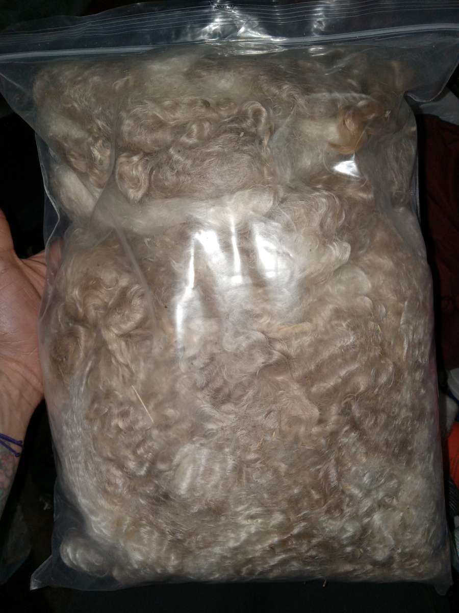 Goats Wool