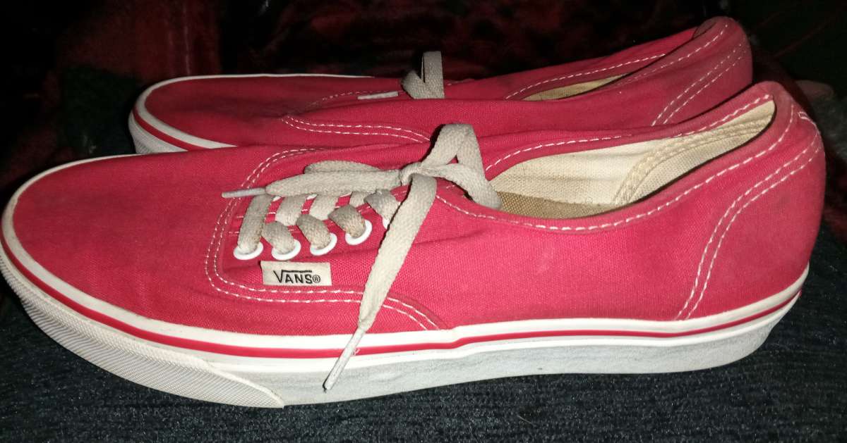 Vans Authentic off the wall carmine rose canvas shoes