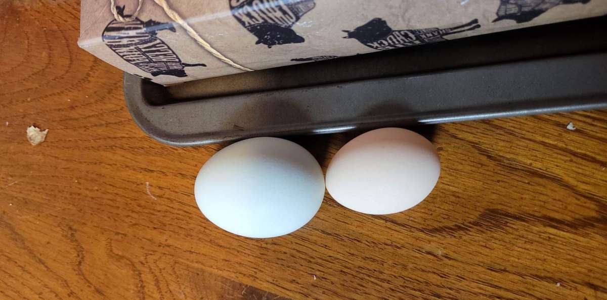 farm fresh eggs