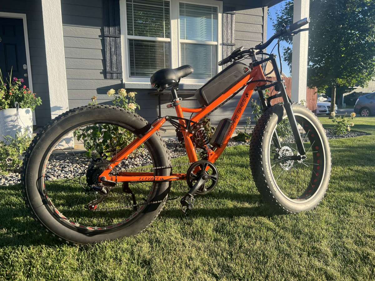 Electric bikes