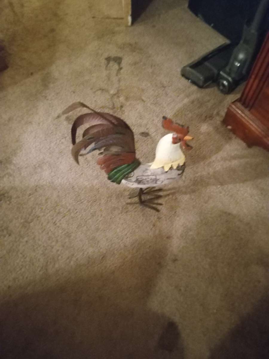 knick knack rooster the sit around