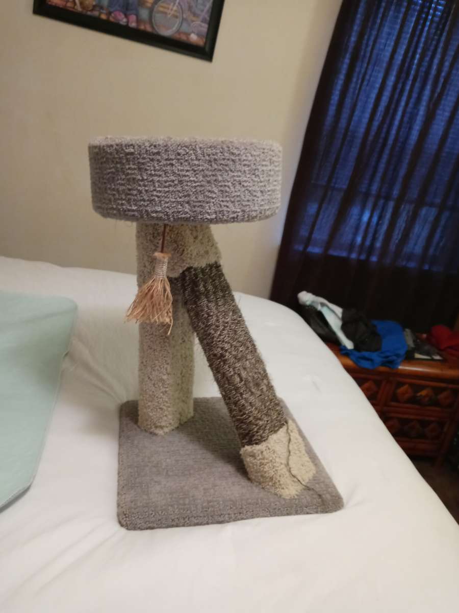 small cat tree