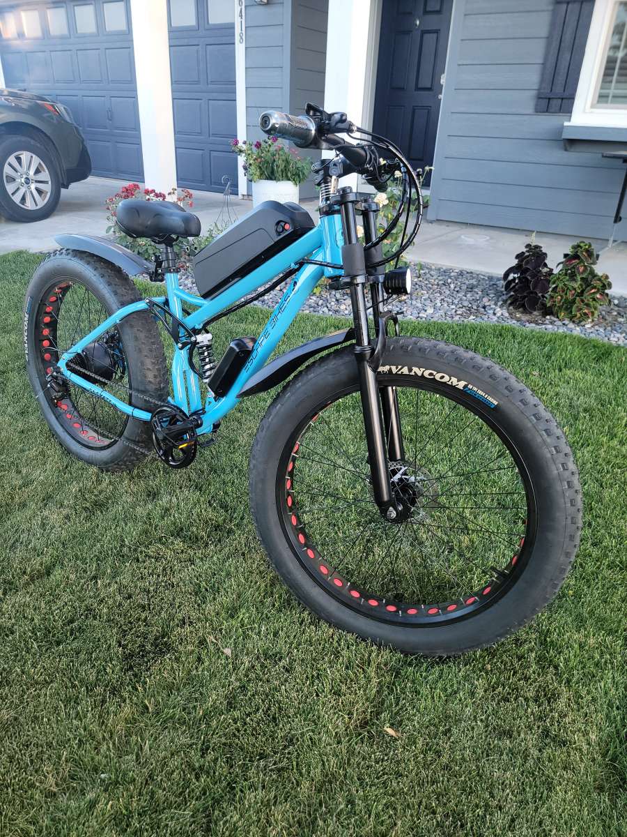 Electric bikes