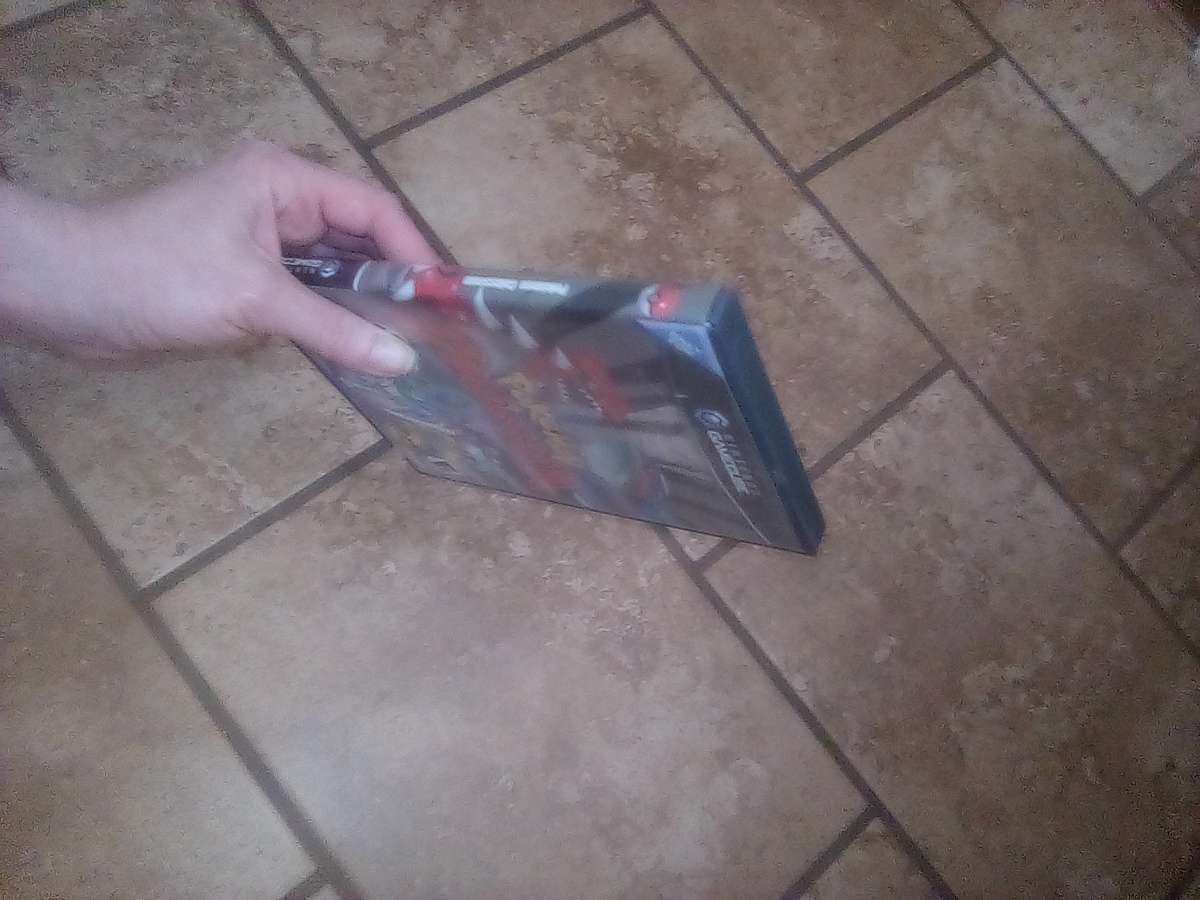 Pokemon colosseum Nintendo gamecube