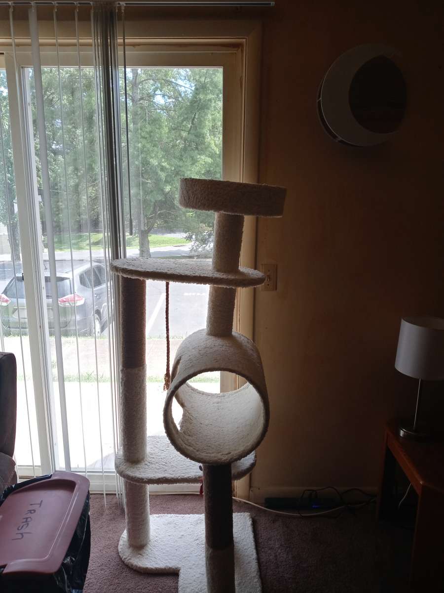 white cat tree