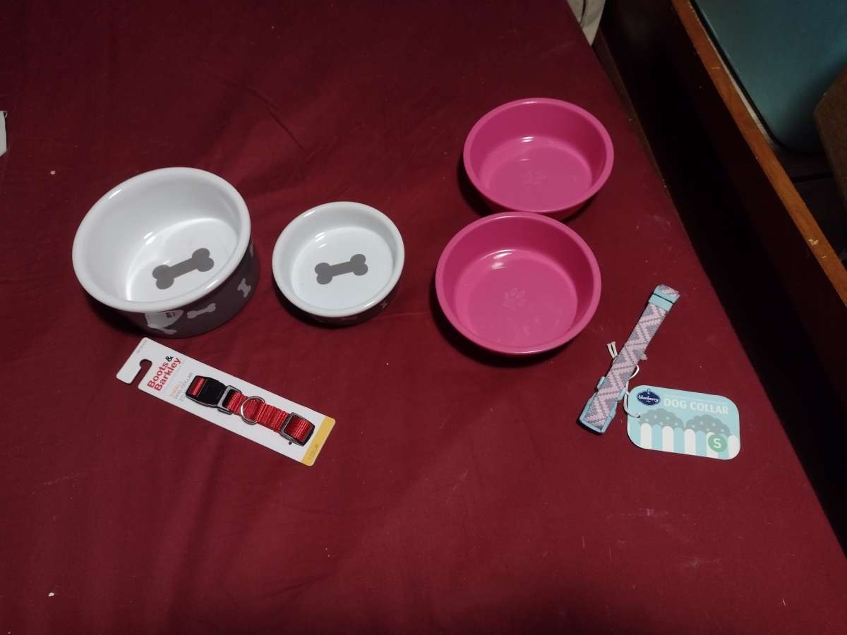 pet dishes