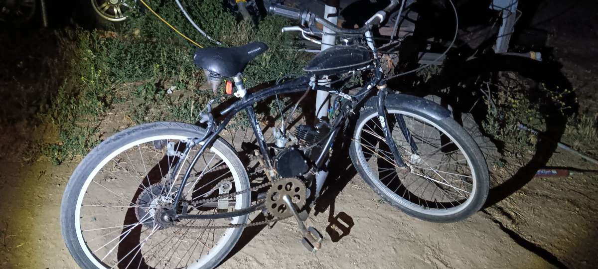 80cc Motorized Beach Cruiser