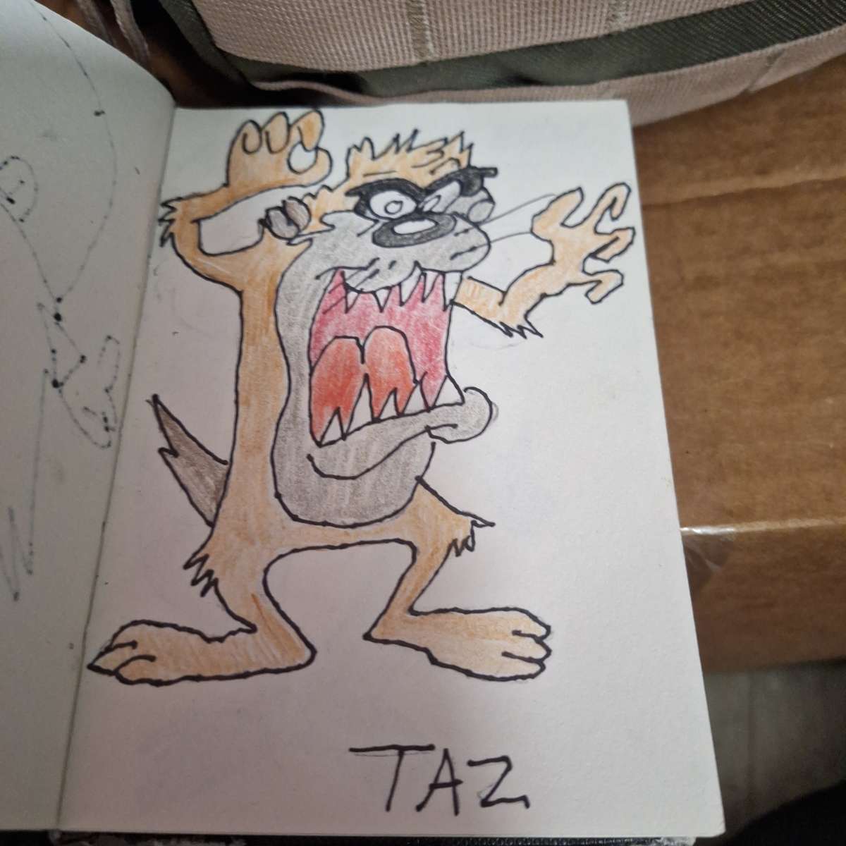 LOONEY TOON CHARACTERS drawings