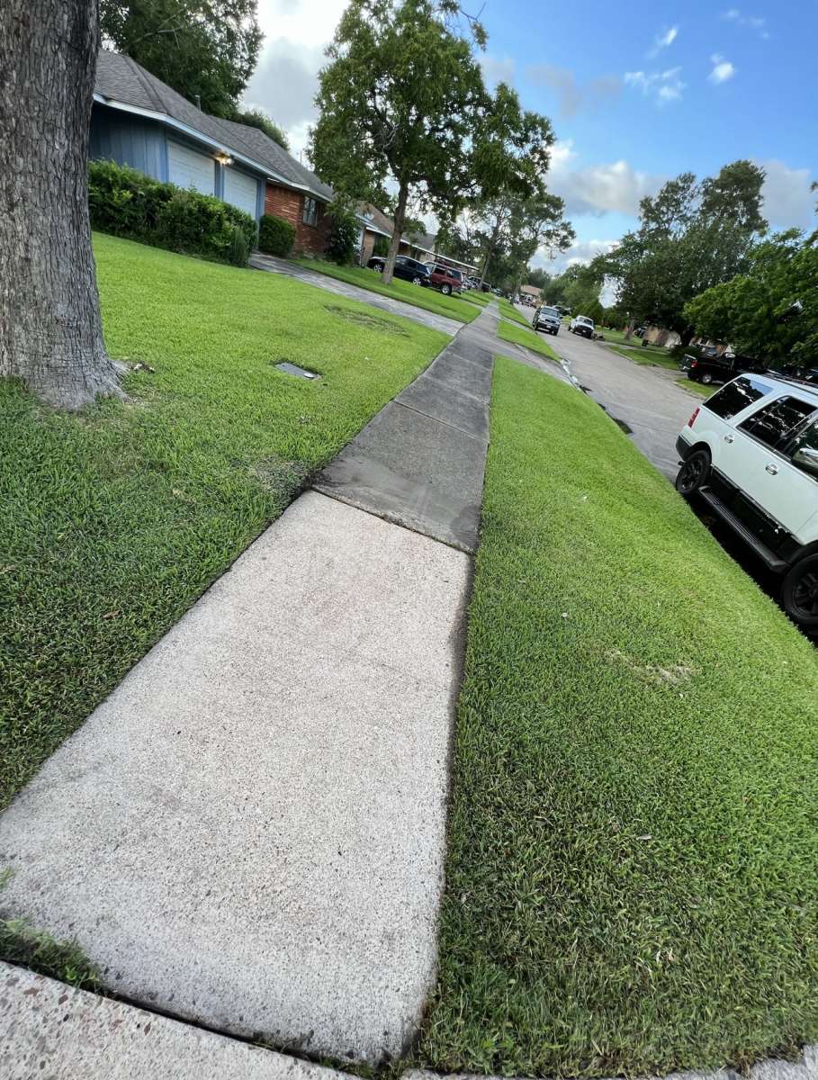 PRESS WASHER BUSINESS