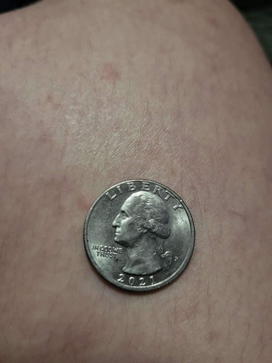 United States of America crossing the Delaware quarter