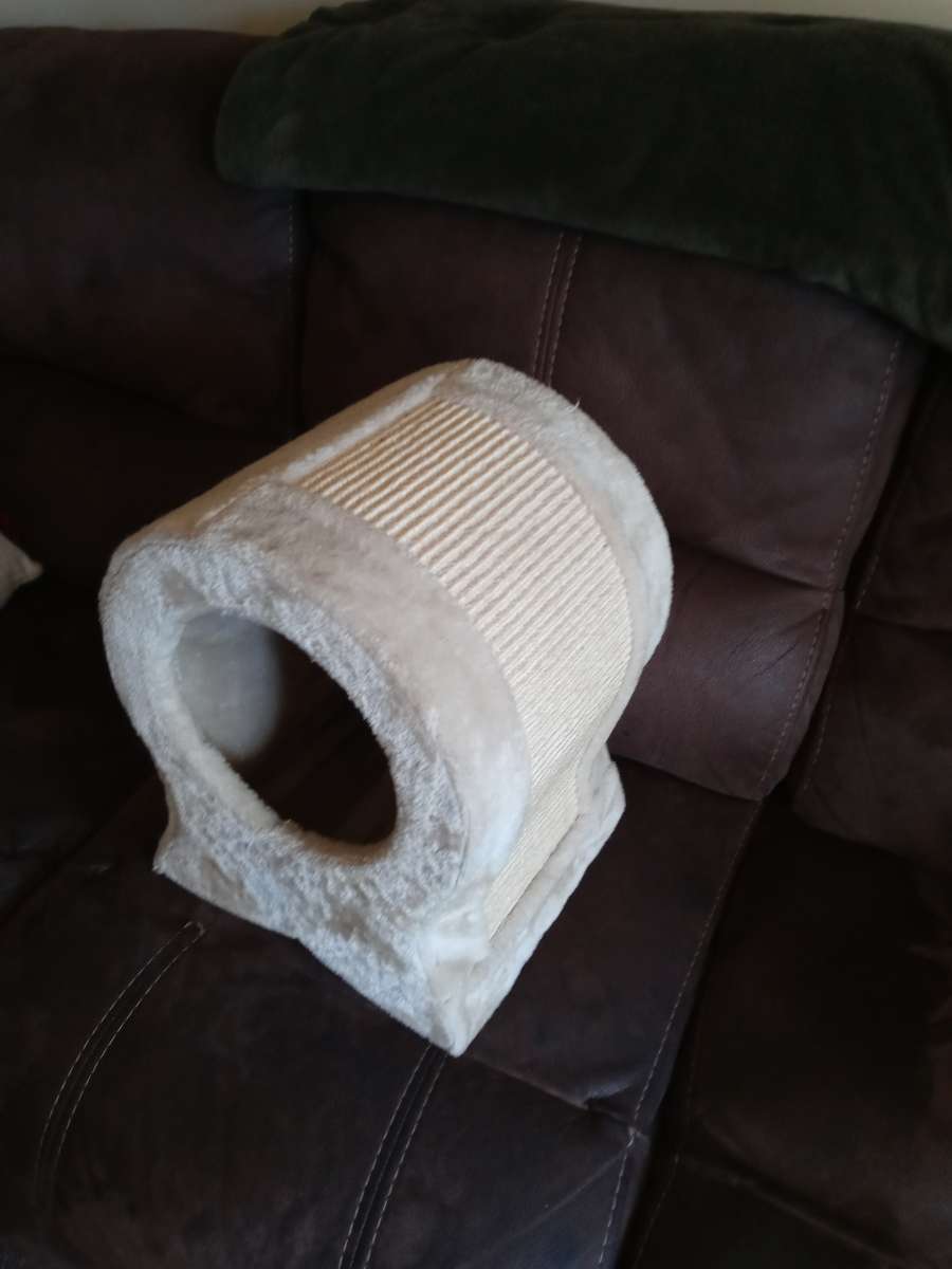 fish shaped scratching post