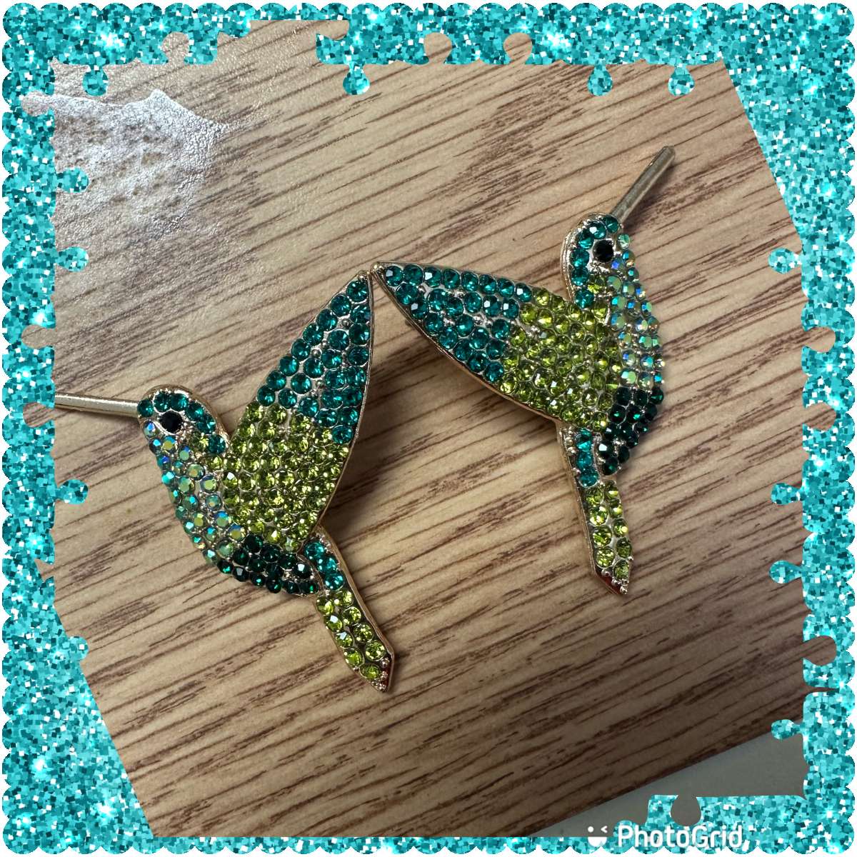 Hummingbird Earrings Studs