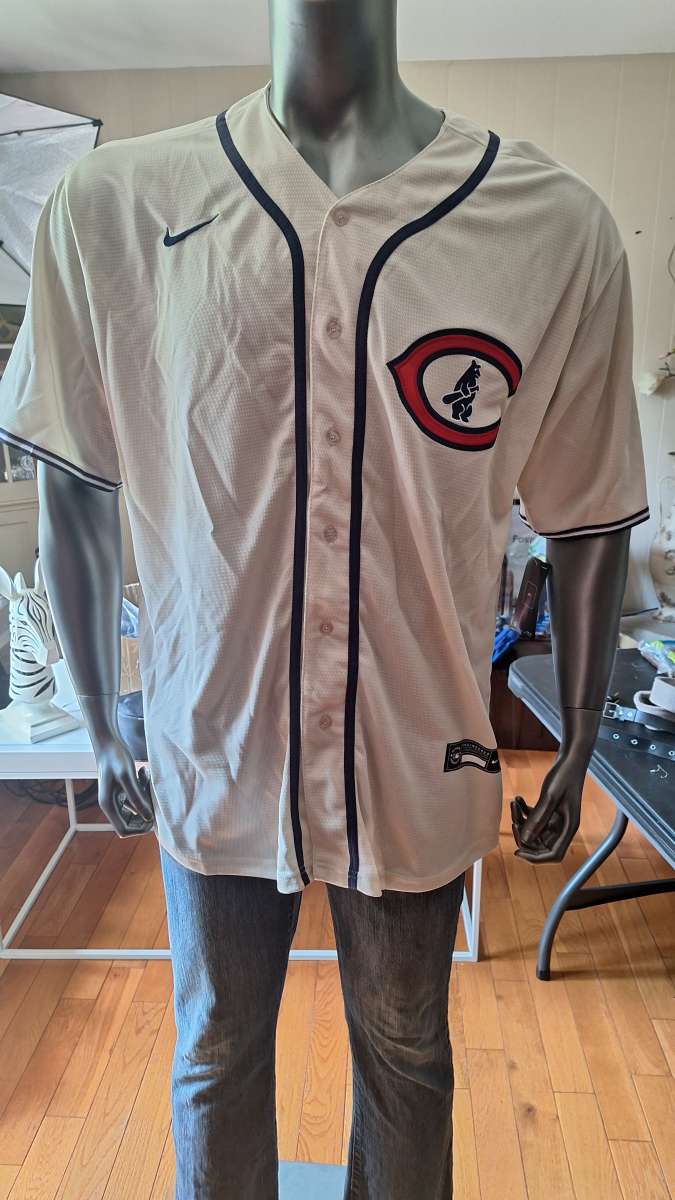 cubs jersey
