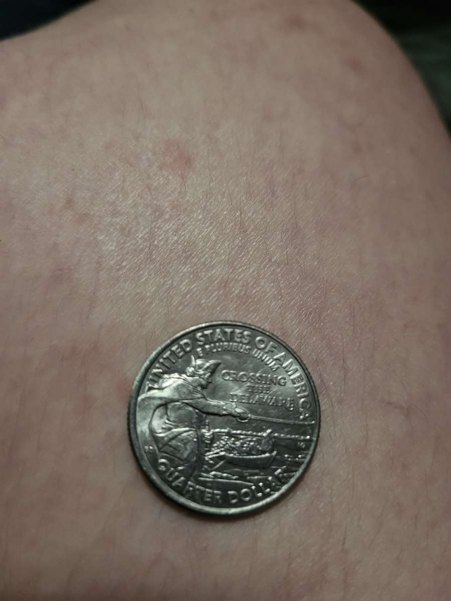 United States of America crossing the Delaware quarter