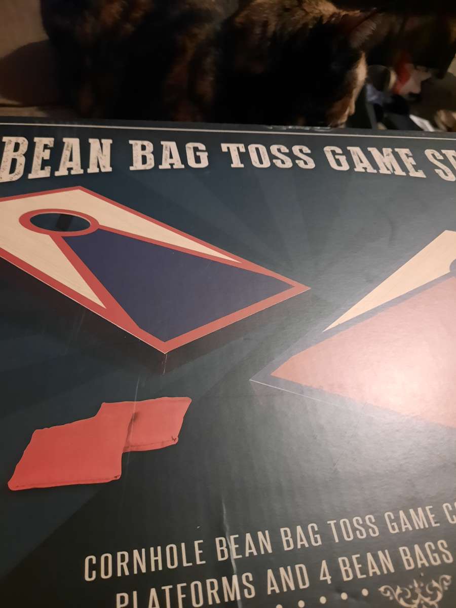 bean bag toss