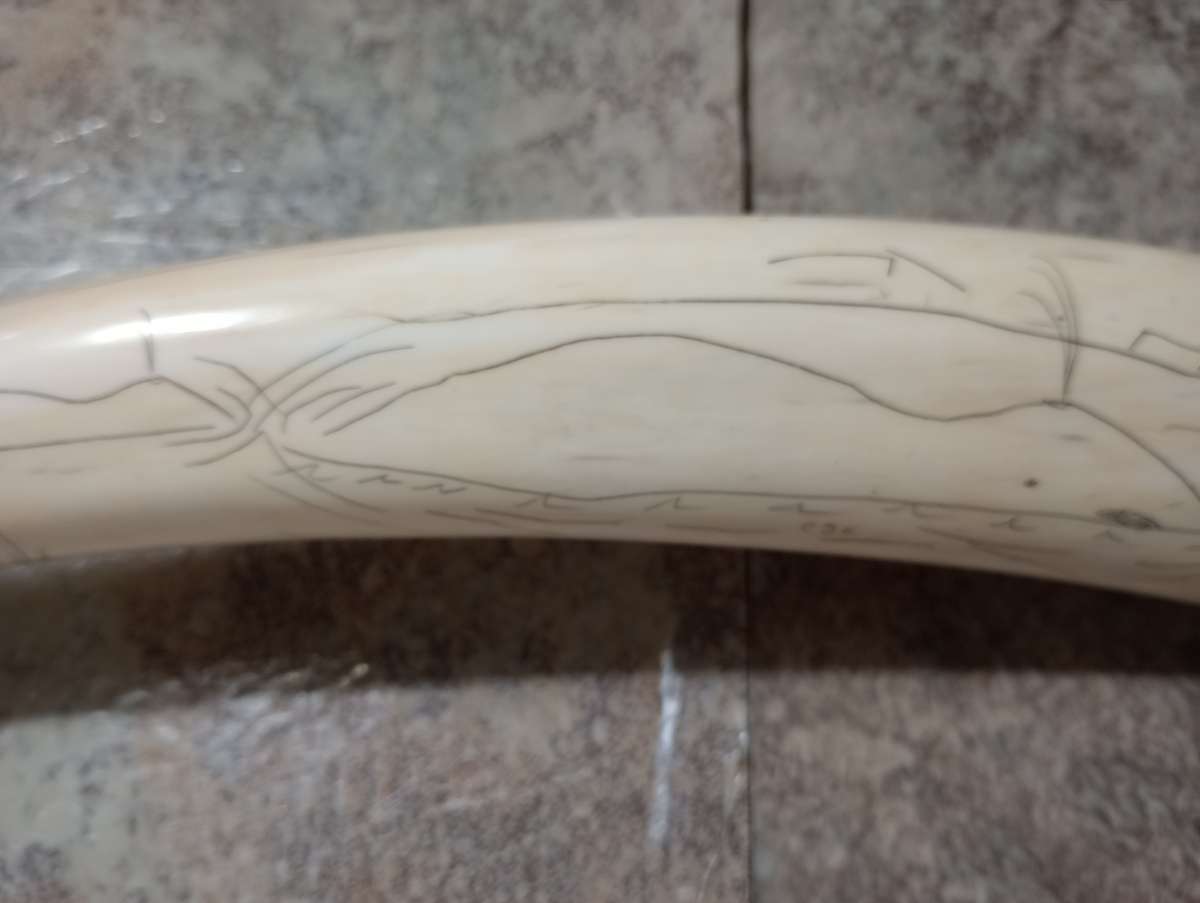 Authentic PreBan Alaskan Inuit Scrimshaw Handicraft Art
