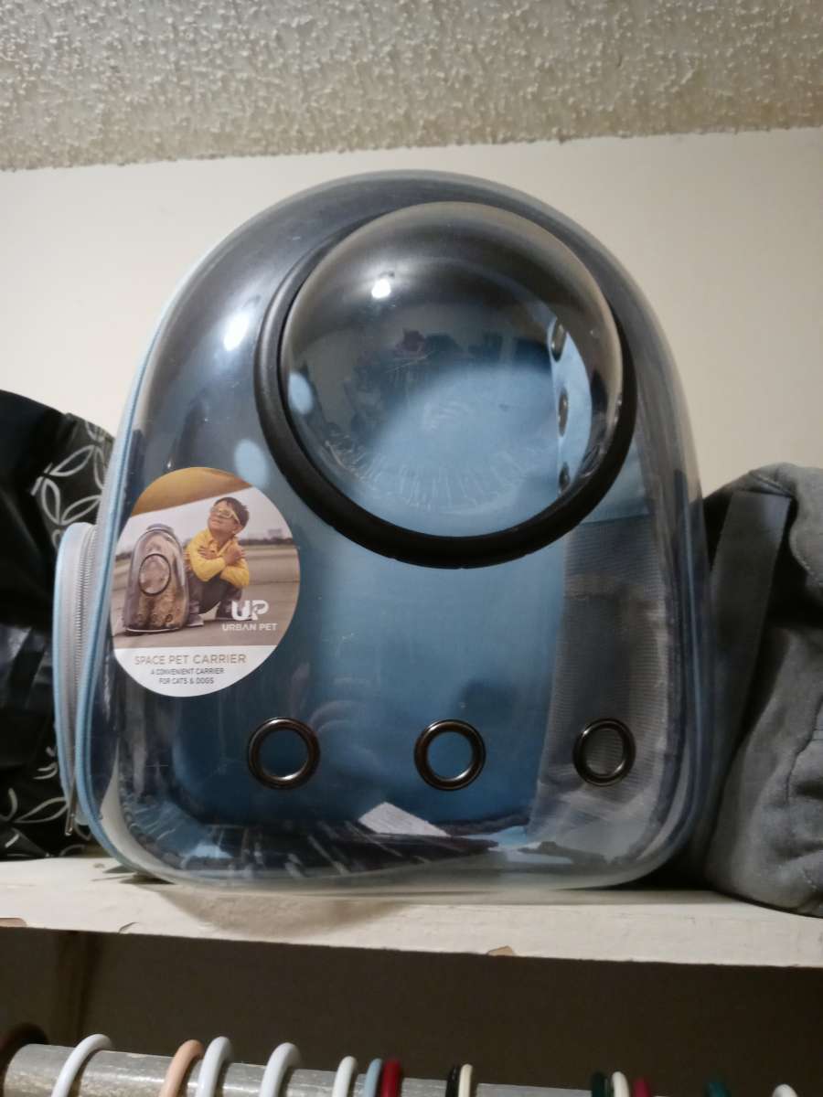 bubble backpack pet carrier